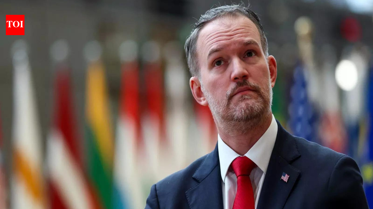 India can be alternative to China for US cos: Greer