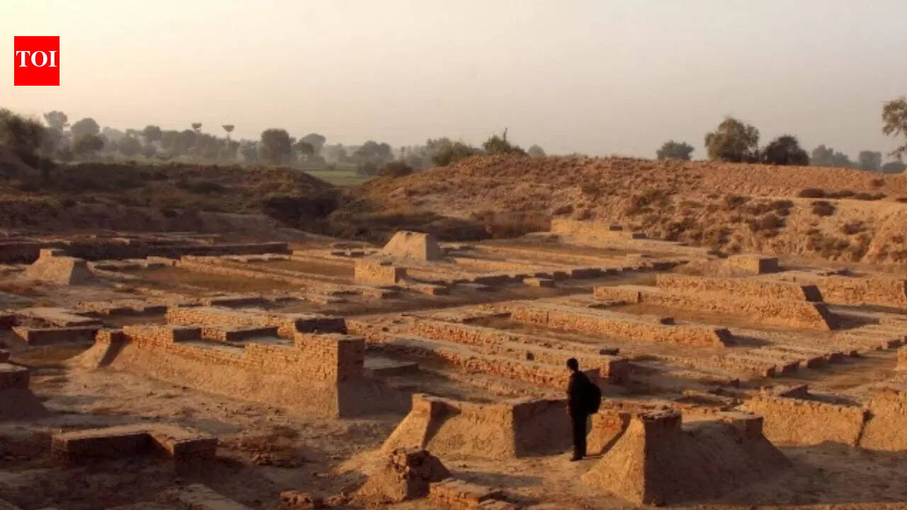 What really destroyed the Indus Valley? It wasn’t war, but a slow death by drought | World News
