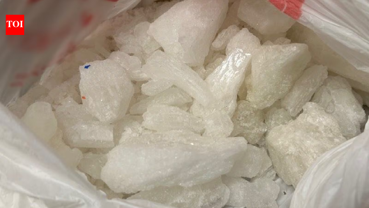 Indian-origin truck driver arrested for smuggling 700 pounds of meth from US to Canada, could face deportation