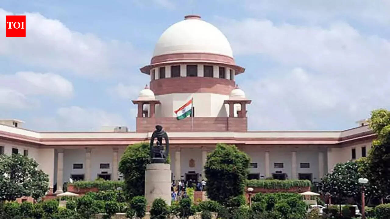 SC puts on hold advocate’s 2 talaq-e-hasan attempts
