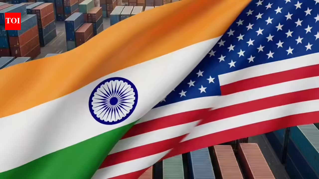 India-US trade deal: Exports may push New Delhi’s trade surplus with Washington to over  billion, says SBI report