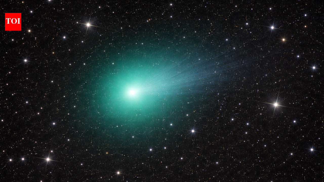 Comet 41P’s rotation slowed dramatically before it likely reversed, astronomers observe