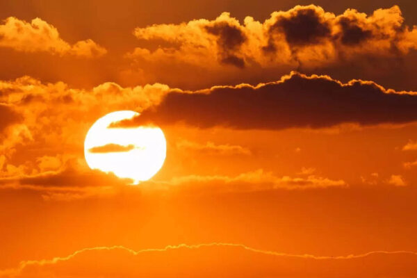 Sun Transit in Aquarius 2026: Its impact on your zodiac sign