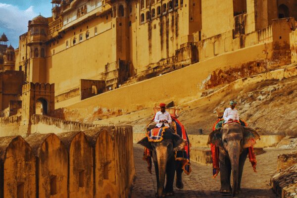 “Elephants and dromedaries in the streets… looked drugged as hell”: The experience that left this foreign traveller uncomfortable |