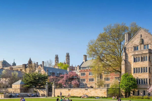 Yale College trims workforce by 7.5%: What you need to know about the US endowment tax impact