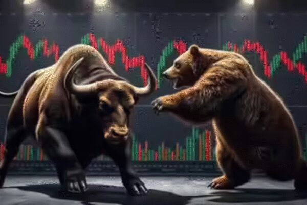 Stock market today: Which are top gainers and losers on NSE and BSE on February 13? Check list