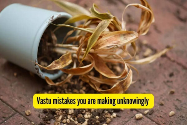 6 Vastu mistakes that are silently blocking wealth in your home (don’t ignore number 4)