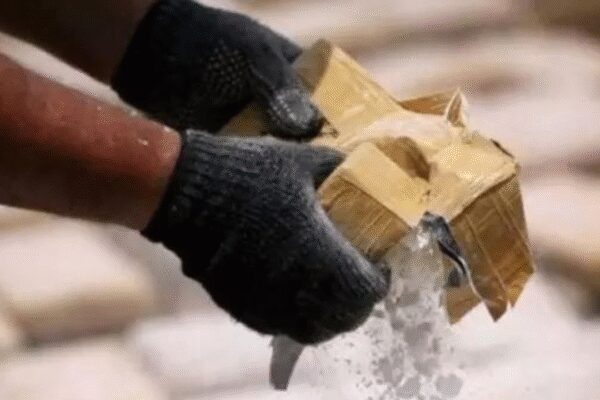 JAMMU: Police arrested two cross-border drug peddlers associated with a Pakistan-based drone-dropped narcotics module in J&K’s Kathua district and seized about 150g of heroin from them. Kathua Police registered a case and booked the duo under the NDPS Act.Police received information about an episode of drone-dropping along the J&K-Punjab border near Kathua’s Nagri area and launched an investigation. With the help of technical analysis and CCTV footage, the first accused, Jatin from Manwal in Pathankot, was arrested. Further probe led cops to Danish Dogra, a resident of Jakhbar in Kathua, cops said.Preliminary investigation revealed that the accused were in contact with a Pakistan-based smuggler through VoIP calls and had received the consignment of heroin, which was to be sold to vulnerable youths for monetary gain, police stated. Further investigation was underway to uncover the entire smuggling network and forward linkages.Cops requested citizens to come forward with any information and cooperate with authorities in the war against drugs. Pakistan Continues To Ignore India’s Warning As Drones Return To Valley, Third Incident In Five Days End of ArticleFollow Us On Social MediaVideosPM Modi Says India Pushes Reforms With Conviction, Not Compulsion; Poised To Drive Global Growth’Symbols Of British Empire’: PM Modi On North & South Block In 1st Address From Seva Teerth’Umar Bhar Yahi Bhool’: Yogi Adityanath Quotes Mirza Ghalib In UP Assembly To Target SP’s RecordBNP Demands Sheikh Hasina’s Extradition From India After Bangladesh Poll WinCongress Demands Union Minister Hardeep Puri Resignation Over Alleged Jeffrey Epstein Links RowPM Modi Speaks To BNP Chief Tarique Rahman, Congratulates On ‘Remarkable’ Bangladesh Poll Win6-Year-Old Dead, 5 Injured As Speeding Car Hits Pedestrians On Busy Lucknow Road; CCTV Shows HorrorKiren Rijiju Explains Why Modi Govt Paused Privilege Notice Against Rahul Gandhi After Dubey’s MoveTarique Rahman’s BNP Heads For Landslide In Bangladesh Election, Rivals Cry FoulPM Modi Unveils Seva Teerth, A New PMO Hub Marking Governance Shift In National Capital Delhi123PhotostoriesTop 5 real estate hotspots in Noida to watch in 2026Exclusive: Krushna Abhishek reacts to Sunita Ahuja’s allegations against mama Govinda, talks about Laughter Chefs 3’s success and working on The Great Indian Kapil ShowGalentine’s Day special: Iconic female friendships in Bollywood that define sisterhood6 Vastu mistakes that are silently blocking wealth in your home (don’t ignore number 4)5 national parks in India that are excellent for birdwatchingLove, in different landscapes: Hills, islands and desert skiesSeva Teerth opens doors: PM Modi launches new PMO complex in New Delhi – see picsAbs don’t equal healthy arteries: Doctor explains why appearance isn’t a health report card5 key features that make adventure bikes perfect for long-distance touring5 ways to remove pesticides from grapes and strawberries, tips for storage, and easy dishes123Hot PicksIT Stocks CrashGold Silver PricesBangladesh Election ResultsTelangana Municipal Elections ResultsIncome Tax CalculatorPublic holidays February 2026Bank Holidays februaryTop TrendingMarvel Rivals Season 6.5 Release dateErika KirkJohn Wick Game Release DateCatherine Polli Net WorthJonathan HorstKayla NicoleAnthony JoshuaChloe KimCardi BMax Muncy