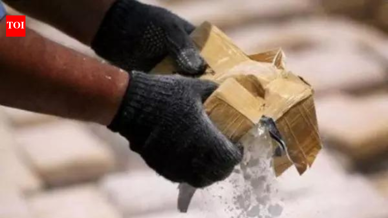 JAMMU: Police arrested two cross-border drug peddlers associated with a Pakistan-based drone-dropped narcotics module in J&K’s Kathua district and seized about 150g of heroin from them. Kathua Police registered a case and booked the duo under the NDPS Act.Police received information about an episode of drone-dropping along the J&K-Punjab border near Kathua’s Nagri area and launched an investigation. With the help of technical analysis and CCTV footage, the first accused, Jatin from Manwal in Pathankot, was arrested. Further probe led cops to Danish Dogra, a resident of Jakhbar in Kathua, cops said.Preliminary investigation revealed that the accused were in contact with a Pakistan-based smuggler through VoIP calls and had received the consignment of heroin, which was to be sold to vulnerable youths for monetary gain, police stated. Further investigation was underway to uncover the entire smuggling network and forward linkages.Cops requested citizens to come forward with any information and cooperate with authorities in the war against drugs. Pakistan Continues To Ignore India’s Warning As Drones Return To Valley, Third Incident In Five Days End of ArticleFollow Us On Social MediaVideosPM Modi Says India Pushes Reforms With Conviction, Not Compulsion; Poised To Drive Global Growth’Symbols Of British Empire’: PM Modi On North & South Block In 1st Address From Seva Teerth’Umar Bhar Yahi Bhool’: Yogi Adityanath Quotes Mirza Ghalib In UP Assembly To Target SP’s RecordBNP Demands Sheikh Hasina’s Extradition From India After Bangladesh Poll WinCongress Demands Union Minister Hardeep Puri Resignation Over Alleged Jeffrey Epstein Links RowPM Modi Speaks To BNP Chief Tarique Rahman, Congratulates On ‘Remarkable’ Bangladesh Poll Win6-Year-Old Dead, 5 Injured As Speeding Car Hits Pedestrians On Busy Lucknow Road; CCTV Shows HorrorKiren Rijiju Explains Why Modi Govt Paused Privilege Notice Against Rahul Gandhi After Dubey’s MoveTarique Rahman’s BNP Heads For Landslide In Bangladesh Election, Rivals Cry FoulPM Modi Unveils Seva Teerth, A New PMO Hub Marking Governance Shift In National Capital Delhi123PhotostoriesTop 5 real estate hotspots in Noida to watch in 2026Exclusive: Krushna Abhishek reacts to Sunita Ahuja’s allegations against mama Govinda, talks about Laughter Chefs 3’s success and working on The Great Indian Kapil ShowGalentine’s Day special: Iconic female friendships in Bollywood that define sisterhood6 Vastu mistakes that are silently blocking wealth in your home (don’t ignore number 4)5 national parks in India that are excellent for birdwatchingLove, in different landscapes: Hills, islands and desert skiesSeva Teerth opens doors: PM Modi launches new PMO complex in New Delhi – see picsAbs don’t equal healthy arteries: Doctor explains why appearance isn’t a health report card5 key features that make adventure bikes perfect for long-distance touring5 ways to remove pesticides from grapes and strawberries, tips for storage, and easy dishes123Hot PicksIT Stocks CrashGold Silver PricesBangladesh Election ResultsTelangana Municipal Elections ResultsIncome Tax CalculatorPublic holidays February 2026Bank Holidays februaryTop TrendingMarvel Rivals Season 6.5 Release dateErika KirkJohn Wick Game Release DateCatherine Polli Net WorthJonathan HorstKayla NicoleAnthony JoshuaChloe KimCardi BMax Muncy