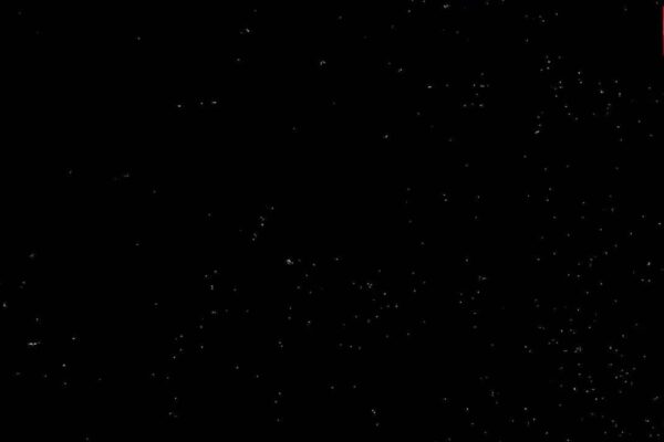 India vs Pakistan: Where will the match be decided? Will rain play a role?