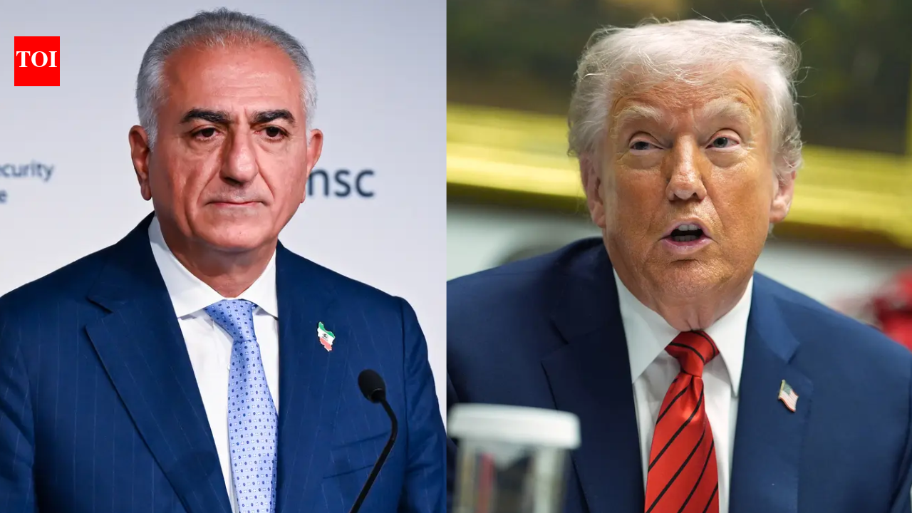 ‘Time to end Islamic republic’: Exiled prince Reza Pahlavi urges Donald Trump to help Iranian people