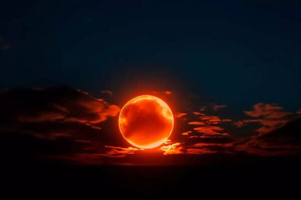 Solar Eclipse 2026: Check out the impact of Surya Grahan on all zodiac signs
